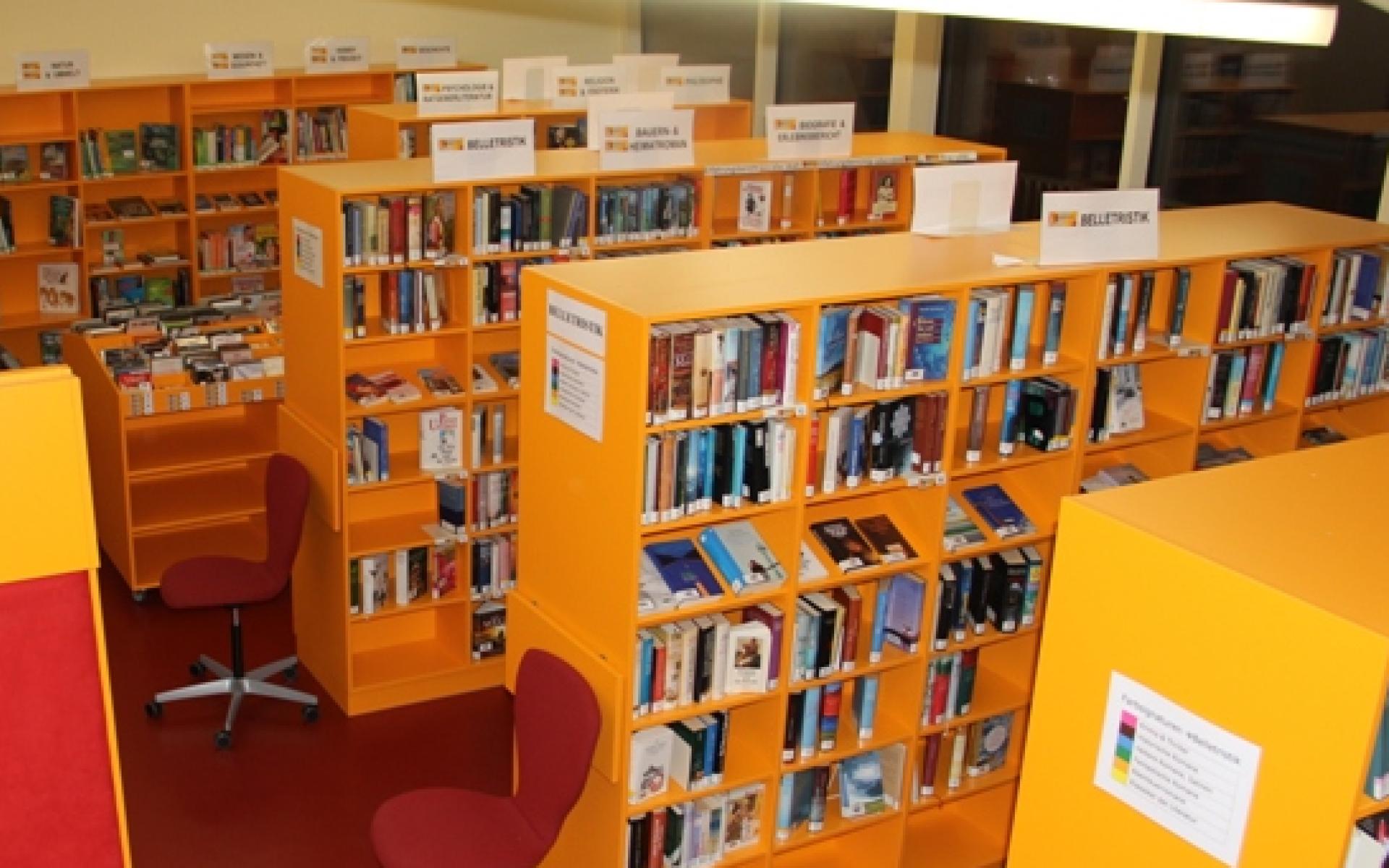 Bibliothek 2013